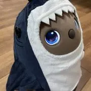 もぴこ⭐︎断捨離中の画像