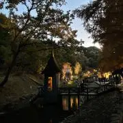 TAROの画像