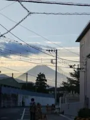 高木