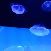 るんるんの画像