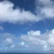 yの画像