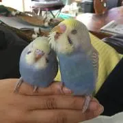 けろっぴ　プロフィールをみてね♪