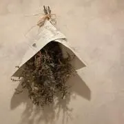 paruの画像