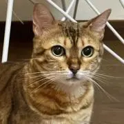 Ohneの画像