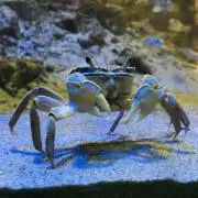 なろう