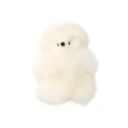 ぽろぽろの画像