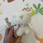 mamiの画像