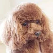 まなの画像