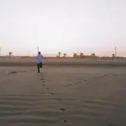ヨッシーマーケットの画像