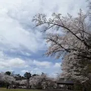 Saの画像