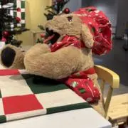 にゃんの画像