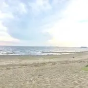 ENA