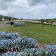 ととの画像
