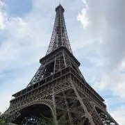 チロの画像