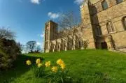 Ripon