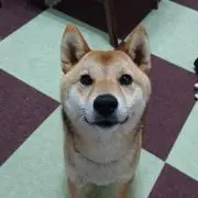 おうき♡