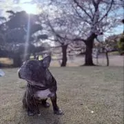 ろっくの画像