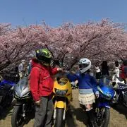 s*a様 CBR600RR PC40 純正 キーセット＆ECU 鍵/キーシリンダ - メルカリ