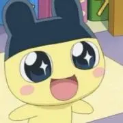 まめっちの画像