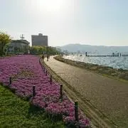 biwa【ご購入前にご連絡ください】の画像