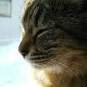 miporin【お気軽にコメント下さい】の画像
