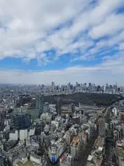 七色の画像