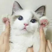 ゆちゃん