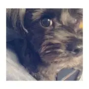 ぎょの画像