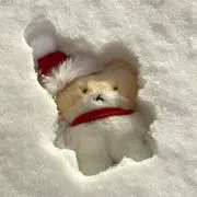 おにぎり