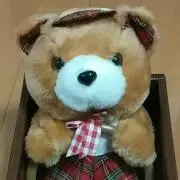 YUZUぽんの画像