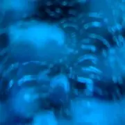 HAの画像
