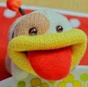 PTの画像