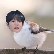 cの画像