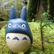 ぽぽぽぽん