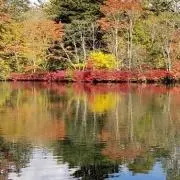 akisiの画像