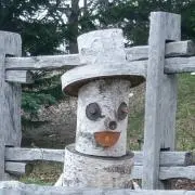 P-j