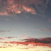 Yomiの画像