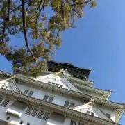hikonchi