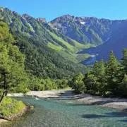 ウキの画像