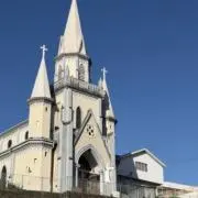 シモザイチの画像