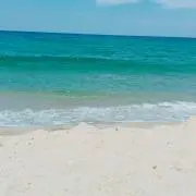リボンちゃ☀いきなりの購入やめて下さい