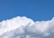 ヤタオの画像