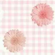 チョココの画像