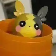 ごいっぬ
