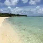 kiraの画像