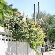 orennjiの画像