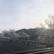 ピンキー