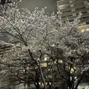Aの画像