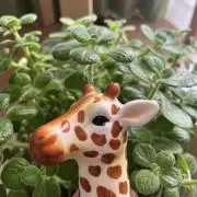 きりんの画像