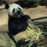 天庭